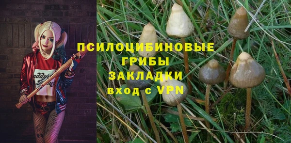 гашик Рославль