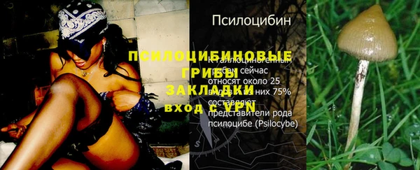 таблы Армянск